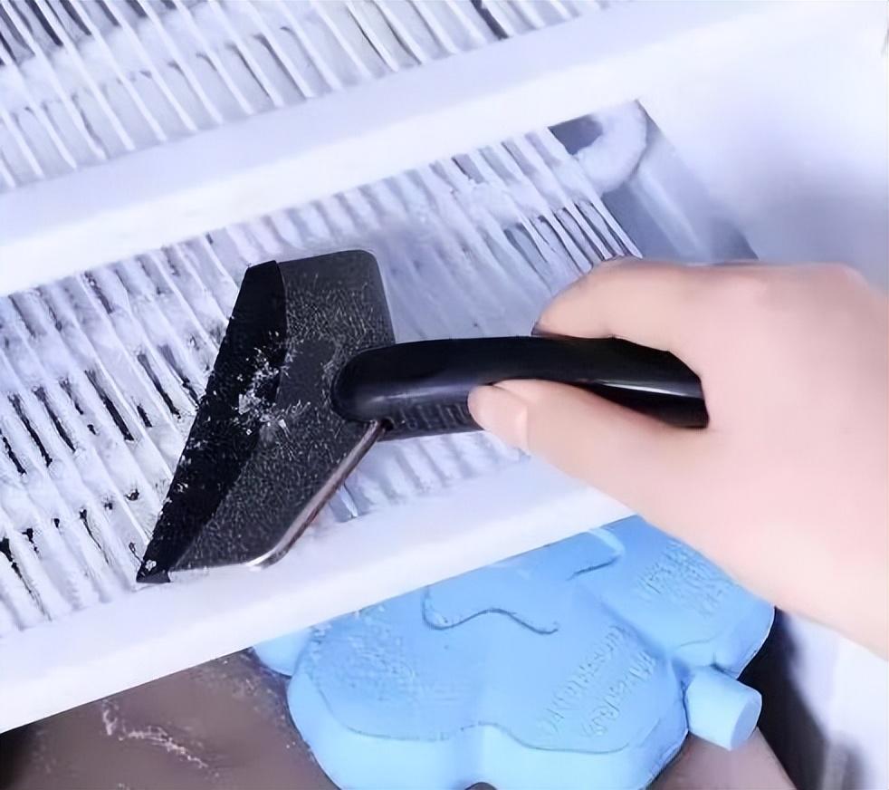 李斯特菌