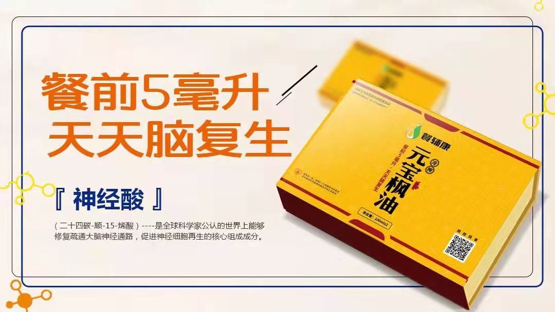 能烧油的高智能电动车