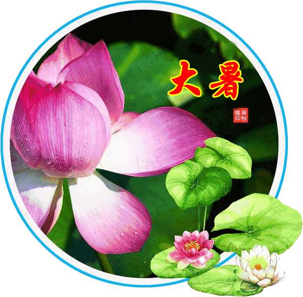 伤害