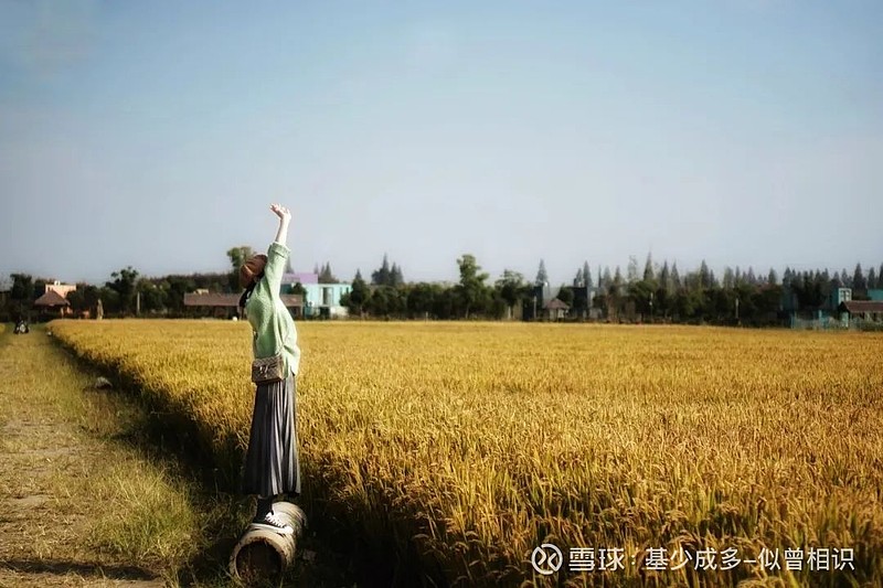 零跑B10外观设计解读
