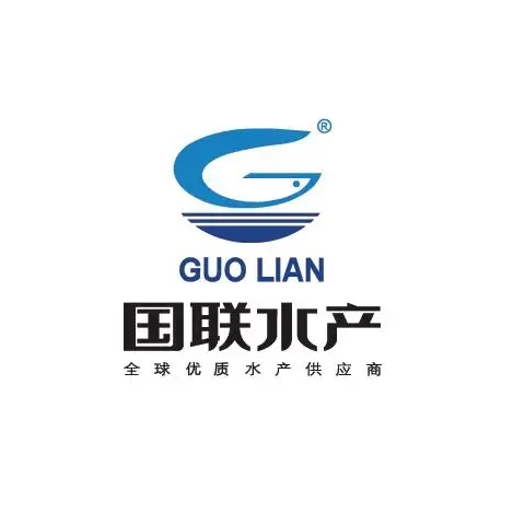 国际足球盛宴