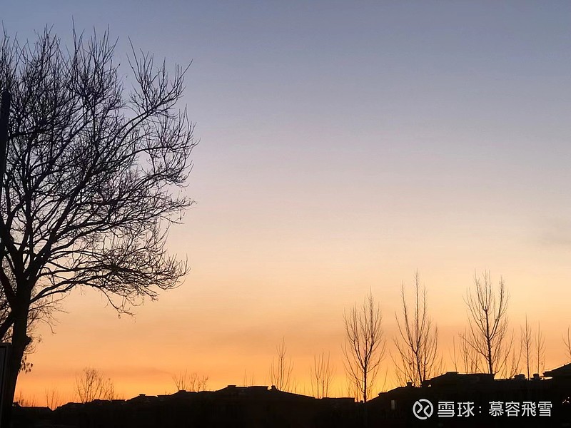 营收破百亿