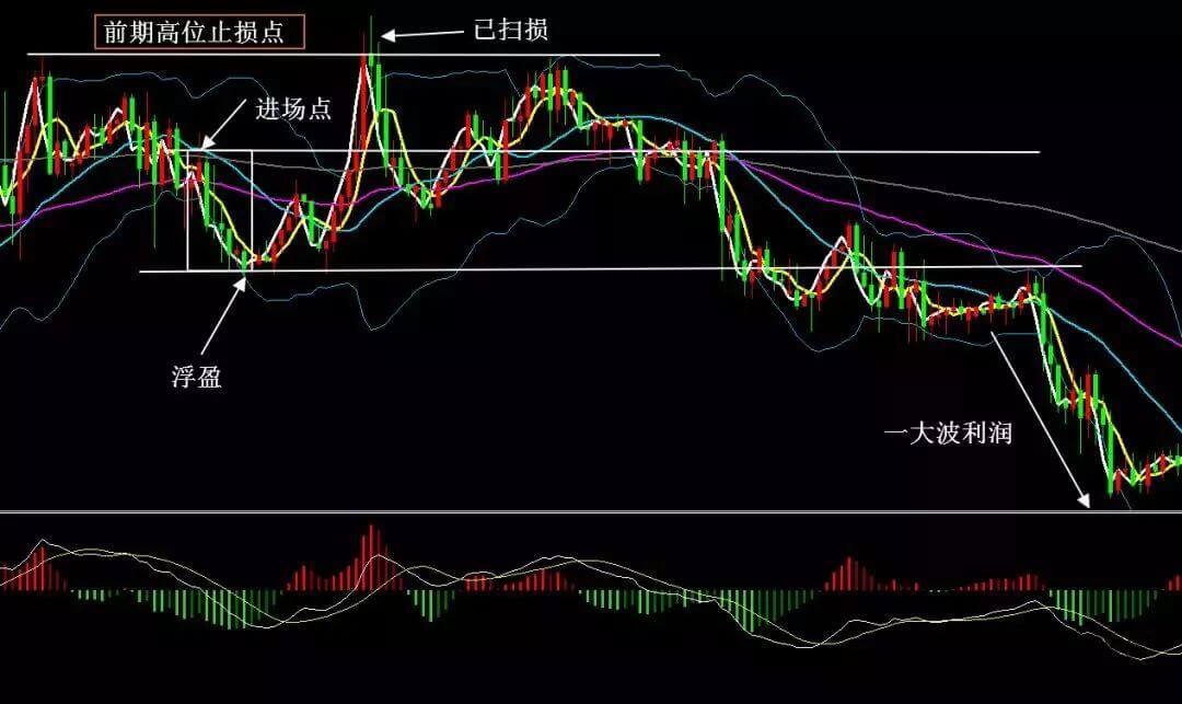 车企财报大洗牌
