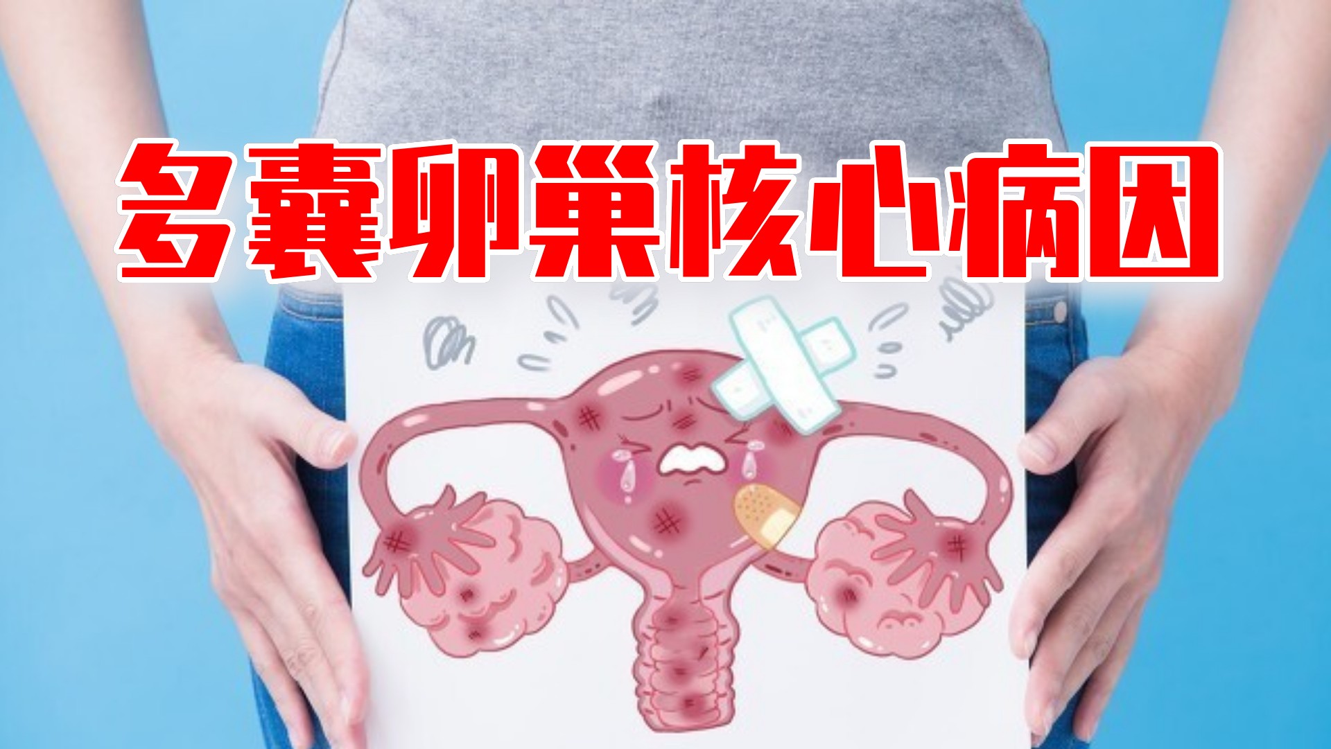 多囊患者饮食指南 允许食用和应避免的食物清单
