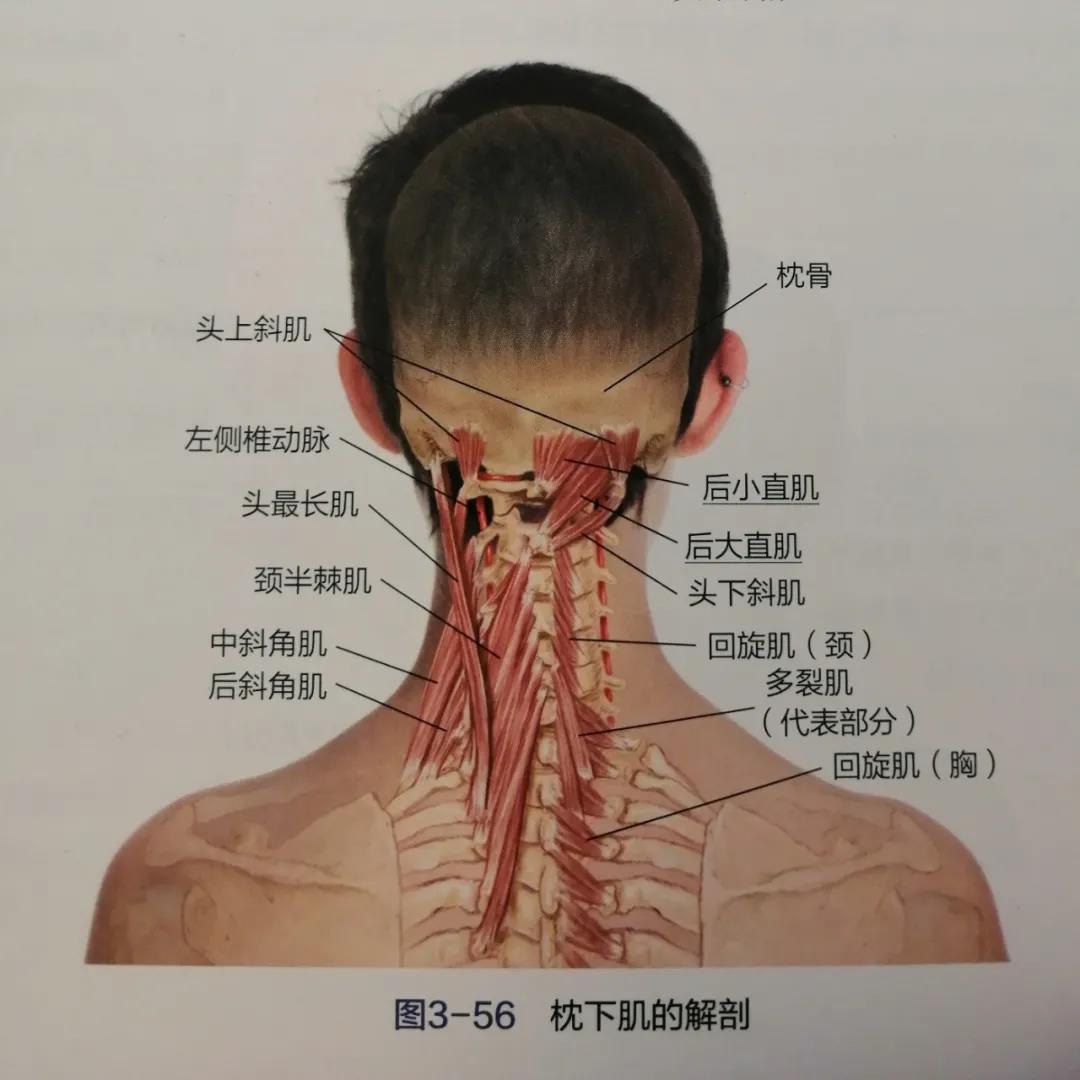 北京胸科医院