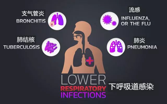 传播