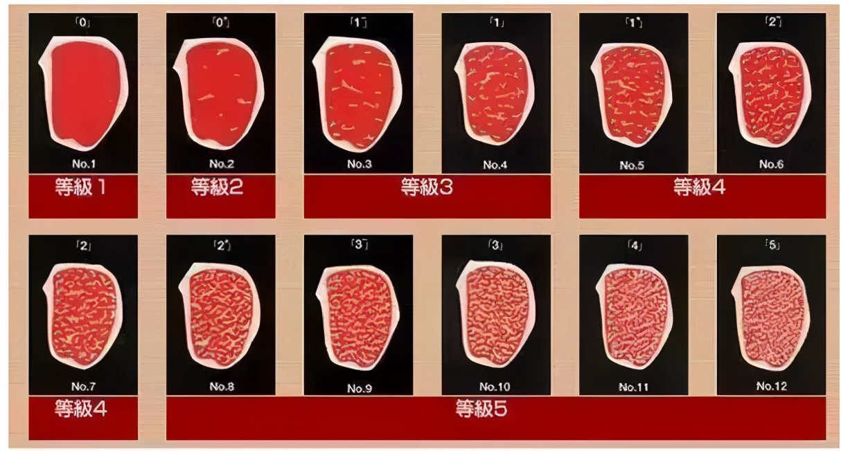 家人