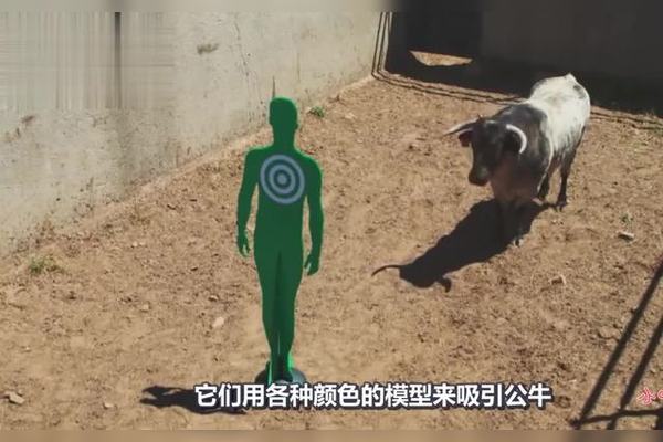 消息资讯