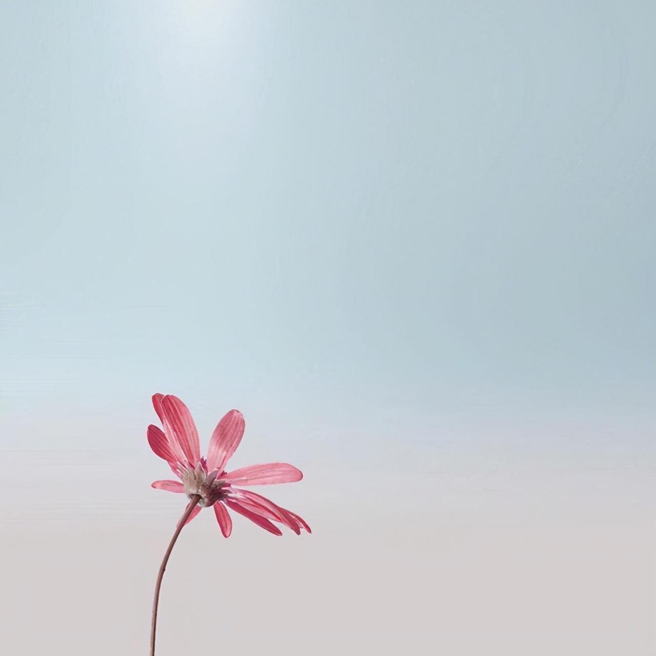 诊断