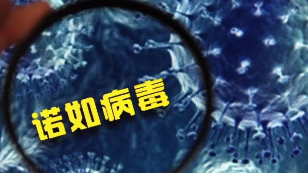 诺如病毒进入高发期 科学防控指南大放送