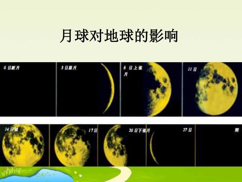 生肖龙