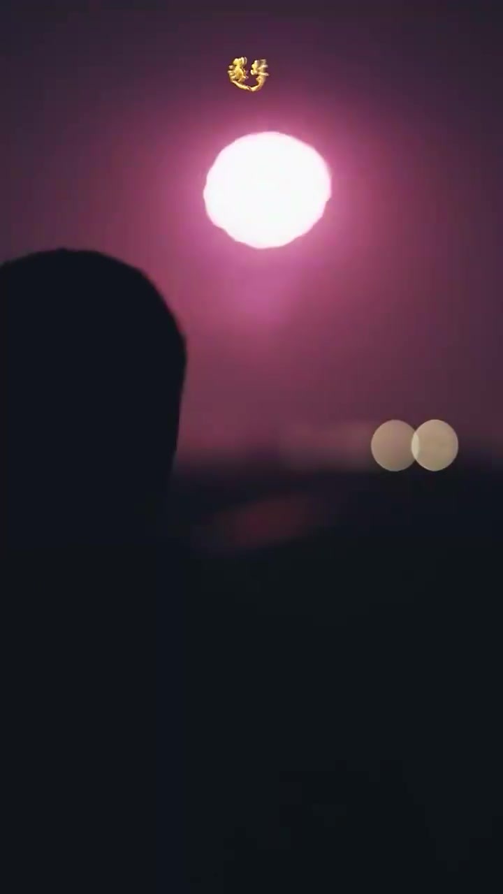 审核