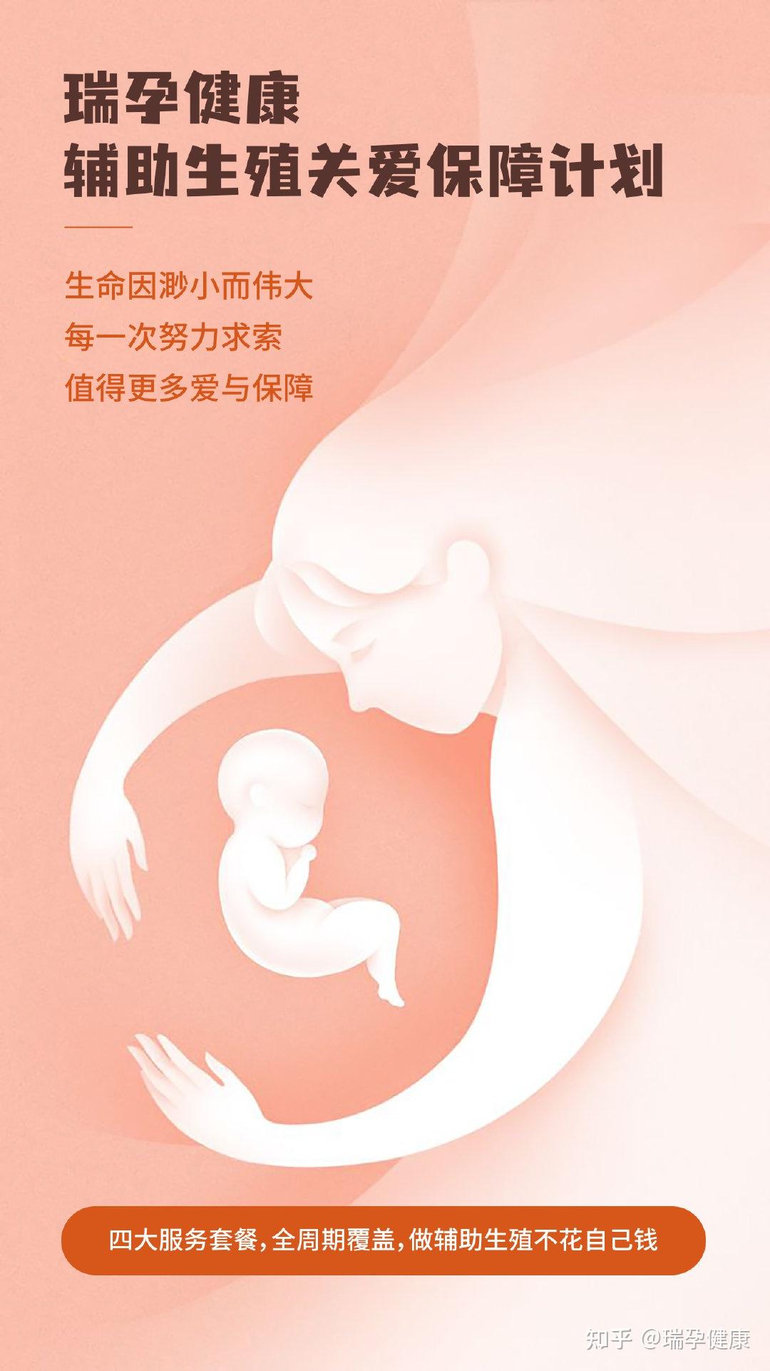 胎儿