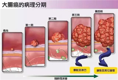 杨柳