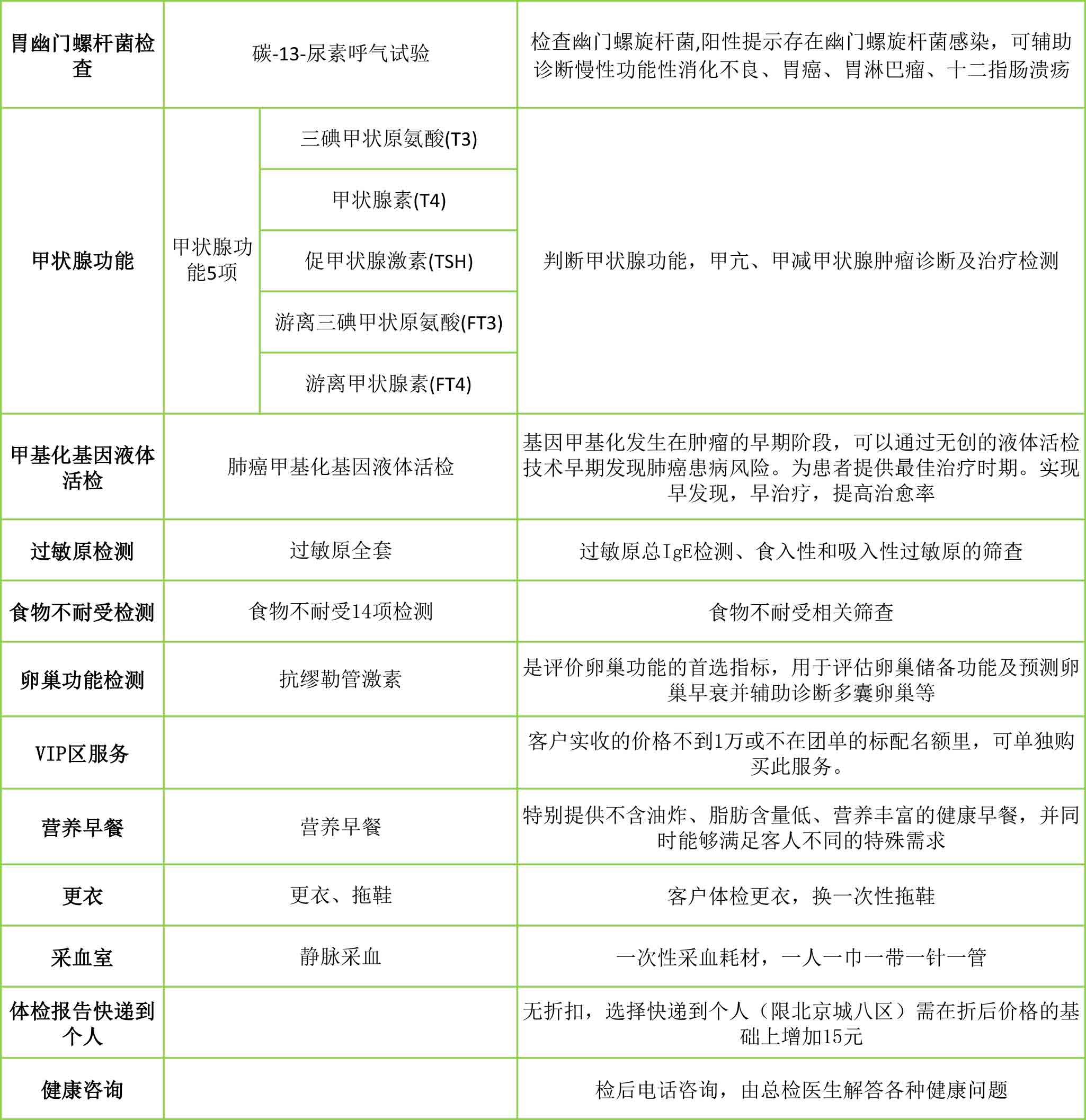 团队