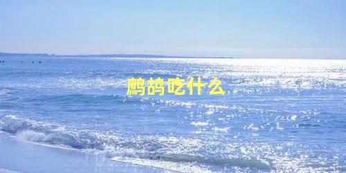 炒食