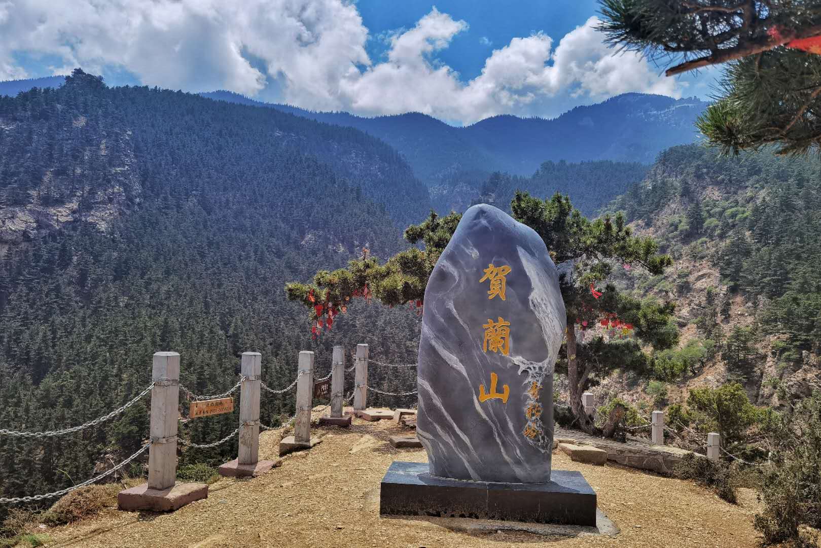 篮板