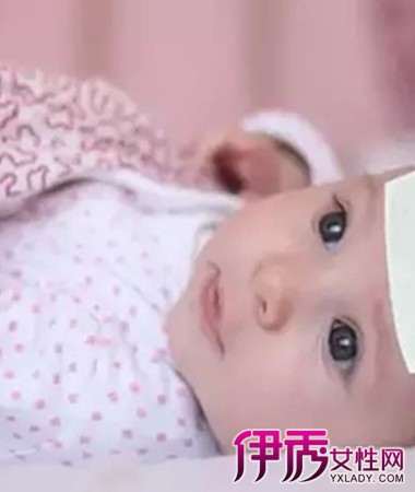 罗双红