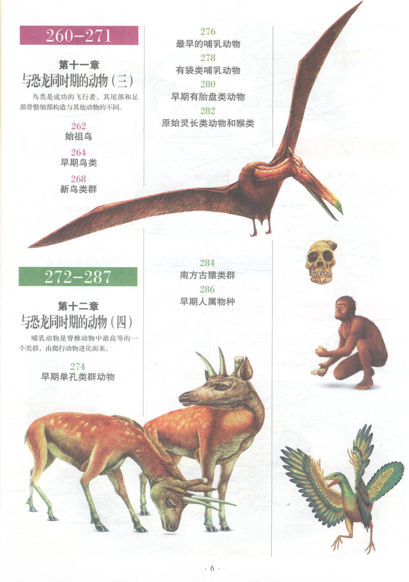 病毒