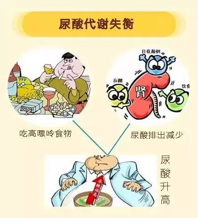 有氧运动