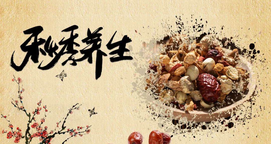 板栗