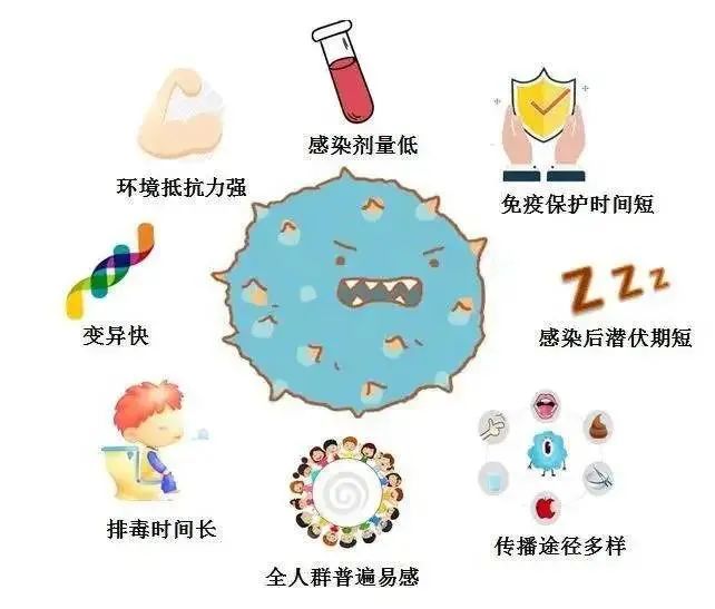 诺如病毒高发期科学防控指南 不容错过的应对策略