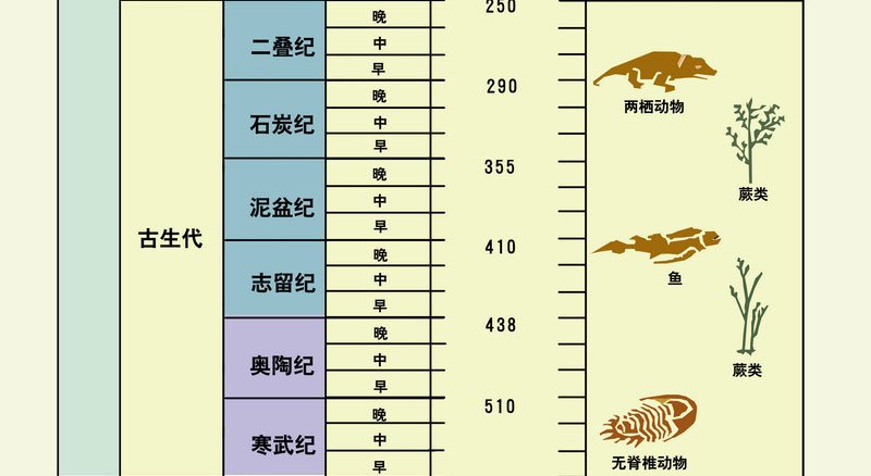 经历