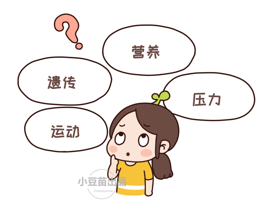 王兴兴