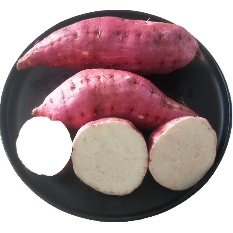 煎饼