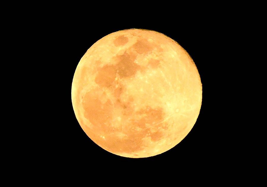 13个月的高温极端