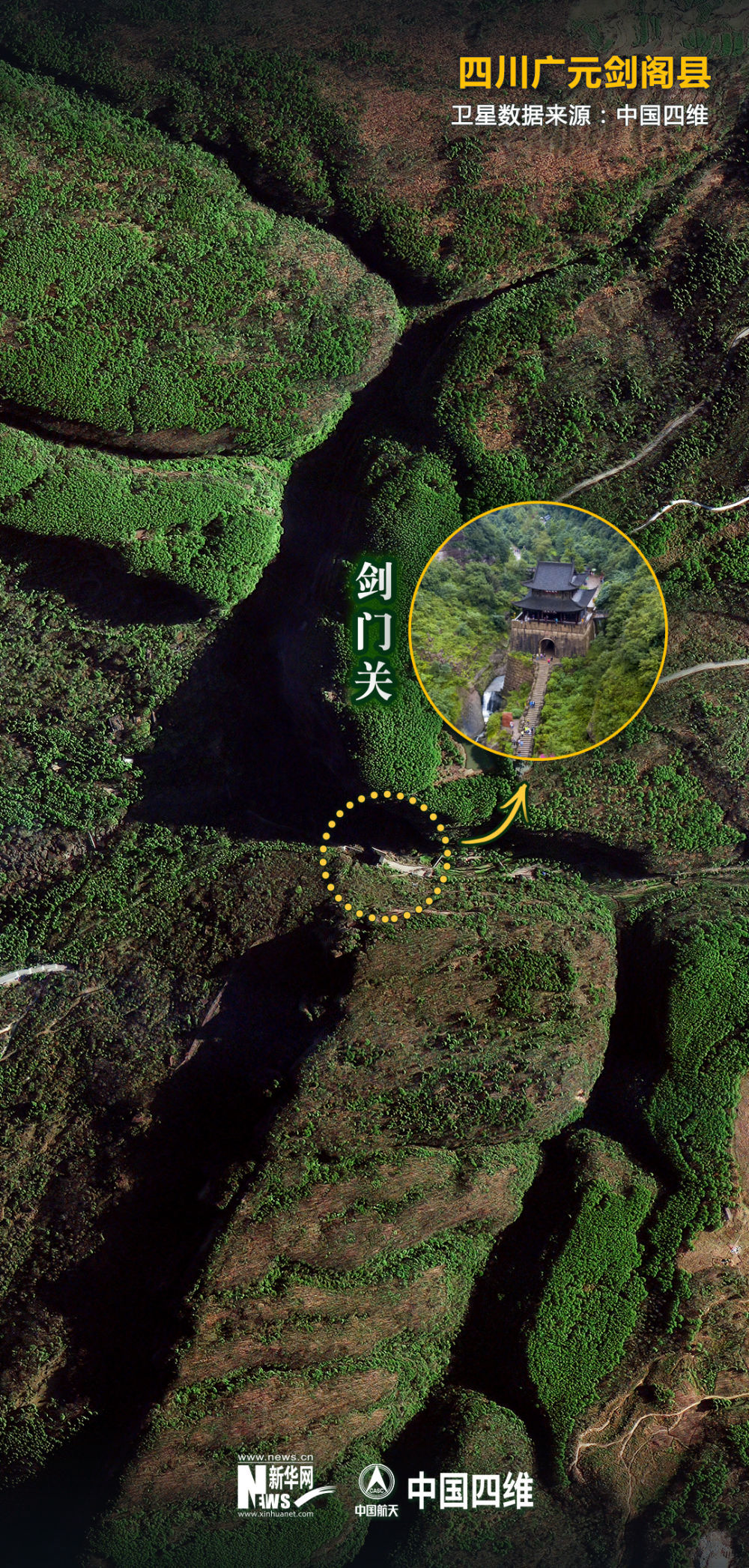 参与活动