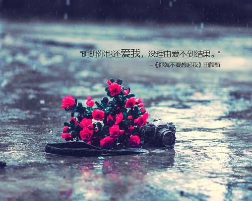 父母