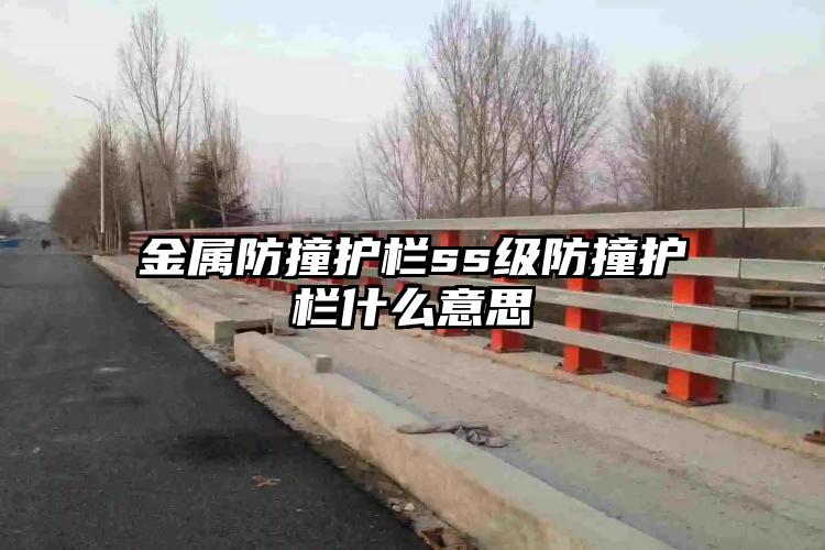 陈震实测美国特斯拉