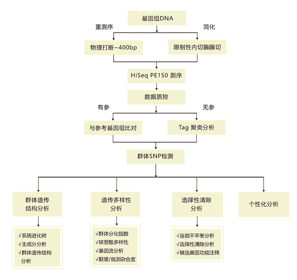 硬核科技论