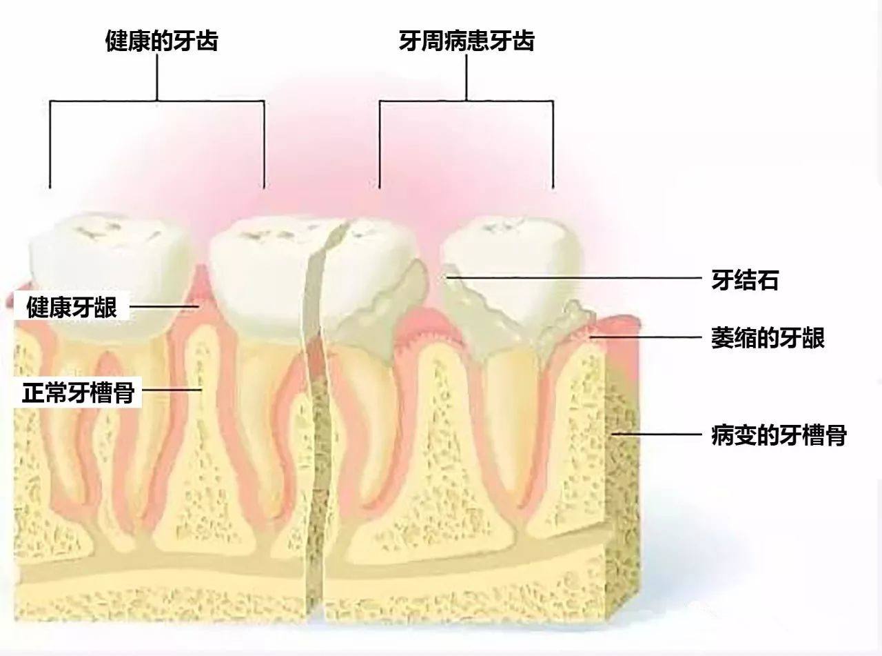 来源