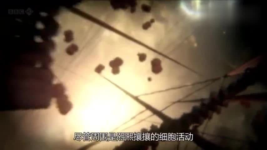 揭秘我们身处量子力学的神奇世界 张朝阳跨年演讲
