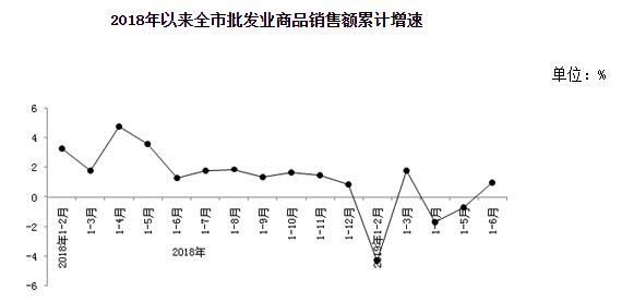 2024年中国乘用车市场再创辉煌