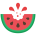 西瓜网