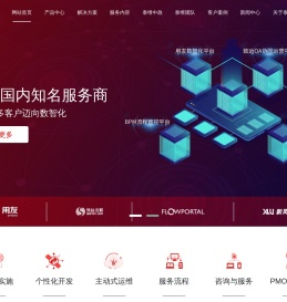 山东泰维数科软件有限责任公司
