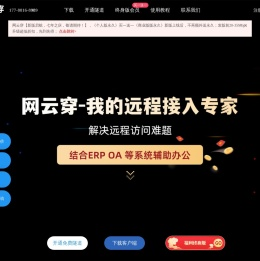 网云穿内网穿透