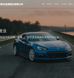 汽车饰件