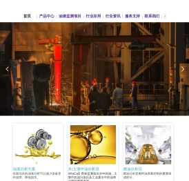 斯派超油料光谱仪