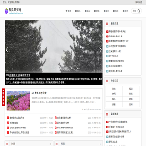 铜头铁臂网
