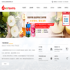 上海鸿影贸易有限公司