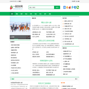 一品白衫网