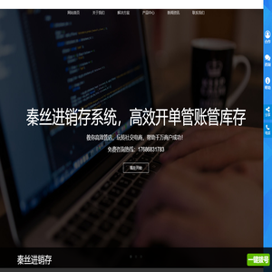 秦丝进销存软件