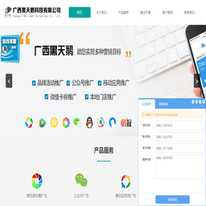 广西黑天鹅科技有限公司