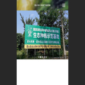 九仙润