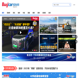 买车网