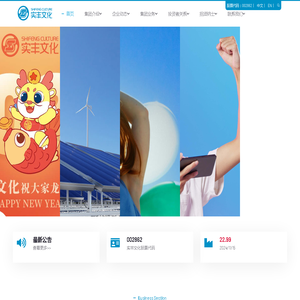 实丰文化发展股份有限公司